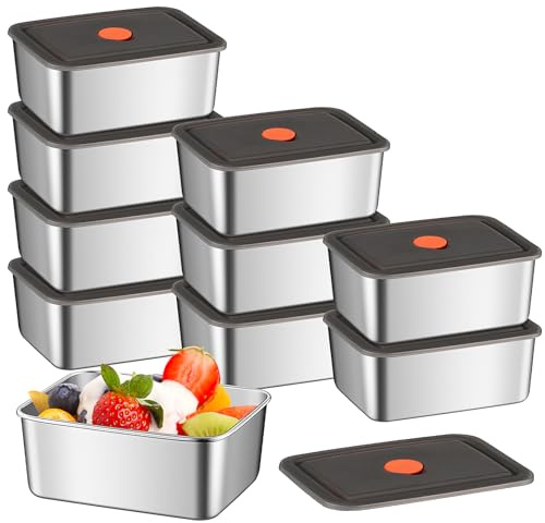 SWHCM Lot de 10 boîtes de conservation avec couvercles,600 ML Boîtes de conservation en acier inoxydable, réutilisables pour congélation, boîtes de stockage, boîtes de rangement pour la cuisine