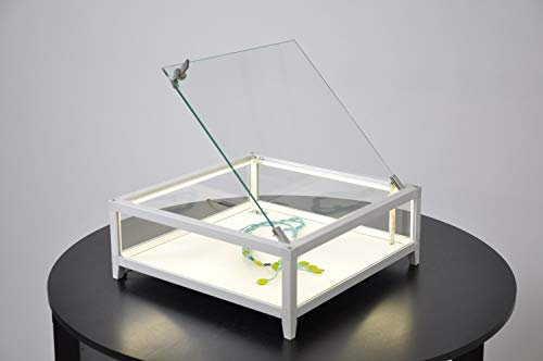 MHN Vitrinenwürfel T 42,8 x B 42,8 x H 12,8 cm - kleine Flache Glasvitrine abschließbar - beleuchtete Aufsatzvitrine - quadratische Vitrine Glas - silberner Schaukasten LED-Beleuchtung
