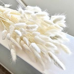 150 Stück Pampasgras Klein, 43CM Weiß Getrocknetes Pampasgras, Natürlich Blumensträuße, Hasenschwanzgras Getrocknet Deko für Schlafzimmer, Indoor, Hochzeit, Home Decoration