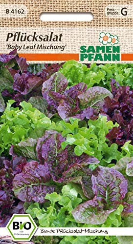 Samen Pfann B4162 Pflücksalat Baby Leaf Mischung (BIO Pflücksalatsamen)