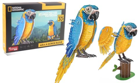 EXPLORA - Loro - Puzzle 3D - 540212-94 Pezzi - Animali - Livello 4 - Senza Colla o Forbici - Uccello - Costruzione - Licenza National Geographic - Gioco di Costruzione - Dai 8 anni in su