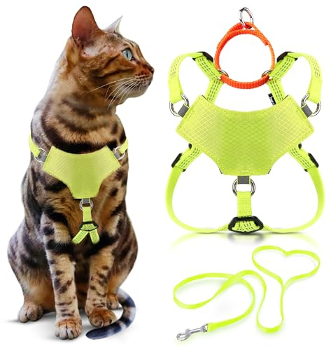 OutdoorBengal Always On™ Martingale-Katzengeschirr und -Leine, ausbruchsicher Set – Weste für ganztägige Kätzchen-Abenteuer – Erwachsene Katzen - Katzenleine und Geschirr ausbruchsicher + Leine (Gelb