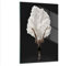 Vidrios decorativos Bailarina Vestido Cifra Cuadro Sobre Vidrio Moderno 50x70cm Decoracion Salon Dormitorio Cocina Cuadros Pared Impresiones Impresión en Cristal Wall Art Prints Decor GPA50x70-6225