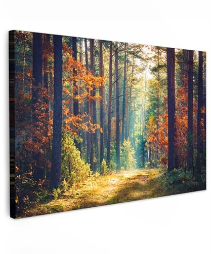 MuchoWow© Leinwand Bilder Wanddeko Wohnzimmer Aesthetic Room Decor Deko | 90x60 cm - Zimmer Wandbilder Modern Fotogeschenke Wald - Sonne - Natur - Herbst