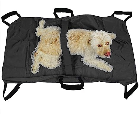 Trasportino per animali con cinghia, impermeabile, aiuta i cani anziani al piano di sotto il trasportino degli animali