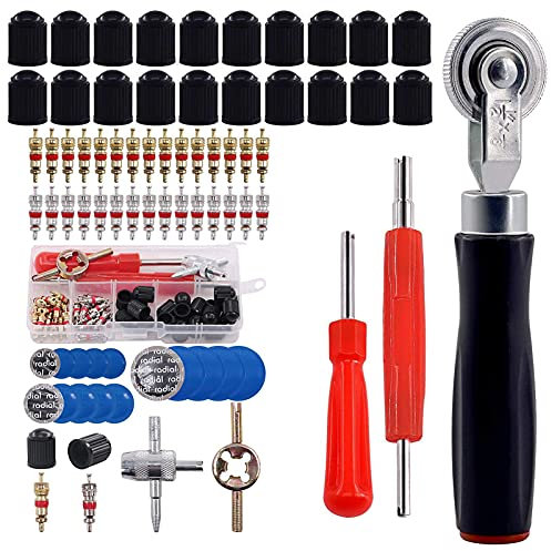 GTIWUNG 70-Teilig Reifenventilentferner Ventilwerkzeuge Set, Reifenreparatur Werkzeug, Ventilinstallationswerkzeug + Einkopf Ventil Entferner + 30×Ventilkern + 15×Reifen Flicken