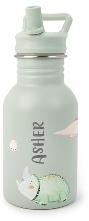 J.Børn Personalisierte Flasche mit Strohhalm für Kinder 350ML | Handgemalte Designs | Einhäutige, lebensmittelechte Edelstahlflasche | Leichte Wasserflasche | Auslaufsichere Flasche (Dinosaurier)