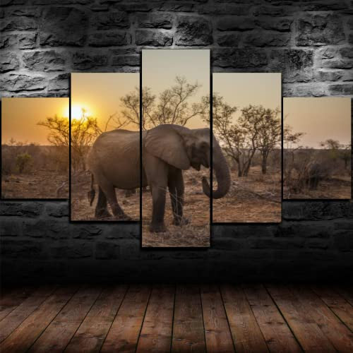 5 teilige leinwandbilder Tiere Kunstdrucke 5 Teilig Vlies Leinwandbild,Wandkunst 5 stück Leinwand Bilder,Wohnzimmer Schlafzimmer Wand Dekoration,mit rahmen xxl bilder Elefant 200x100cm