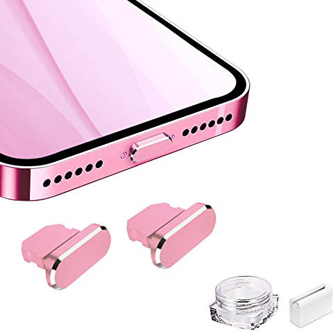 VIWIEU Metal Anti Dust Plug for iPhone 13 12 Mini Pro Max 11 iPad AirPods, Aluminum Lightning Charging Port Cover Phone Charm Compatible with iPhone X, XS, XR, 8, 7, 6 Plus with Holder and Box (Pink)