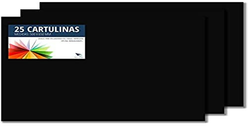 Raylu Paper® - Cartulinas 50x65cm, 25 Unidades, 180g/m². Cartulinas 50 x 65 cm de colores ideales para manualidades, oficina, dibujo, papiroflexia (Negro)
