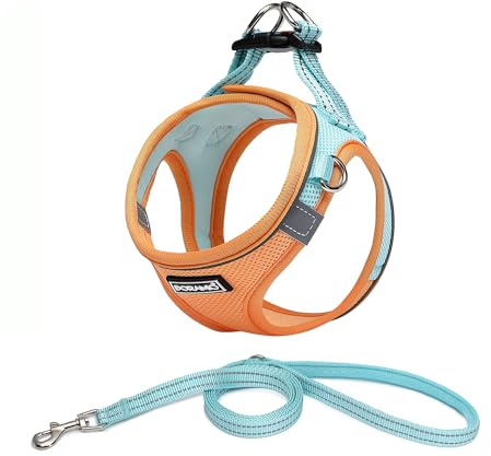 DORAMIO Hundegeschirr Kleine Hunde mit Leine, Step-in Geschirr Reflektierend Atmungsaktiv Brustgeschirr Anti Zug Sicherheitsgeschirr Katzengeschirr für Kleine Hunde, Katzen (S, Orange Blau)