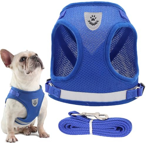 JOOTUEPO Dog Harness and Leash Set, Step-in Small Dog Harness, Soft Mesh No-Chock Reflective Breathable Easy Walk Lightweight Vest Harnesses with Safety Buckle for Small Dogs, Cats, XS