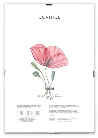 Lupia - Cornice a Giorno APPLY con Pannello Frontale Crilex in Acrilico, Made in Italy, Trasparente, per foto, documenti, pergamene, diplomi, stampe artistiche, poster, quadri moderni 20x30 cm