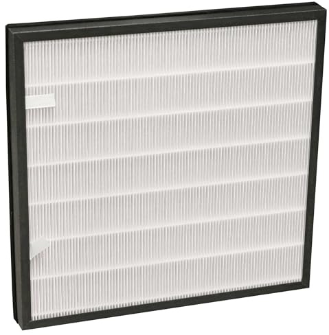 vhbw 2-in-1 Kombifilter kompatibel mit Bielmeier BHG 280 Luftreiniger - Ersatz für Bielmeier 028001 Filter Ersatzfilter Luftfilter Hauptfilter