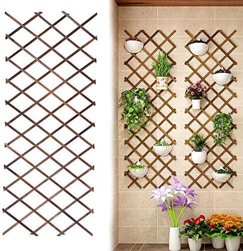 Treillis Bois,Palissade Balcon,Support de Décoration de Fleurs de Cadre d'escalade pour Plantes Rétractables de Clôture,Treillis de jardin extensible pour plantes grimpantes (250x107cm/98.4x42.1in)