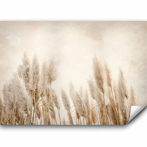 murando - Vlies Fototapete Pampasgras 350x256 cm - Foto Tapete Schlafzimmer Wohnzimmer Moderne Vliestapete XXL Wandtapete Motivtapeten 3d Effekt Wand Dekoration - Trockenblumen b-A-10095-a-a