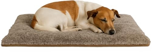 XiRRiX Pfotenliebling Hundedecke braun – weiche, warme Haustierdecke mit rutschhemmender Unterseite, waschbar und pflegeleicht, ideal für Sofa, Auto und Hundebett, für kleine und mittelgroße Hunde