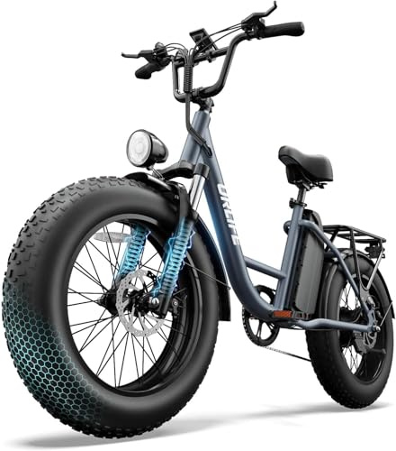 URLIFE 20 x 4.0 E Bike, Fatbike mit 48V 15,6Ah Abnehmbarem Akku, Vorderradfederung Farbigem LCD-Display, 7 Gängen, bis zu 110 km Reichweite, Elektrisches Mountainbike für Erwachsene (Grau)