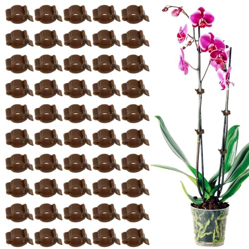 Pflanzenclips für Kletterpflanzen, Orchideen Klammern Kunststoff Pflanzenclips Pflanzenklammern Klein Orchid Pflanzen Clips pflanzen Befestigung Pflanzenhalter für Orchideen Tomaten Pflanzen (100pcs)