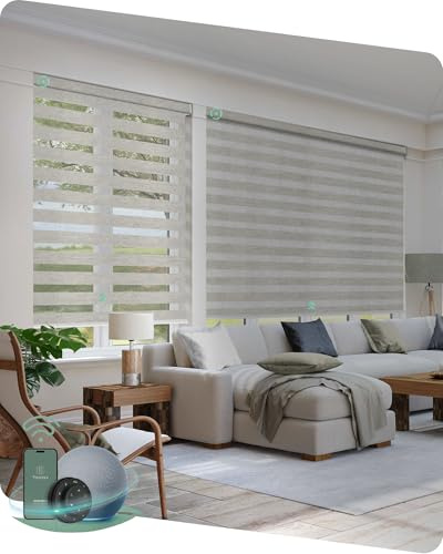 Yoolax Motorized Zebra Blinds Compatible with Alexa, Smart Dual Layer Shades with Privacy Light Control, Electric Horizontal Window Blind Customized Size for Home Office (Warm Silver)