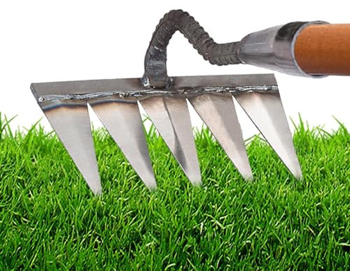 Rastrello Per Diserbo - 32mm Rastrello Giardino In Acciaio Al Carbonio,Rastrello Per Foglie,Zappa Diserbo Rastrello,Rastrello Diserbo,zappa Per Erbacce Allentamento/Semina, 5 Denti (senza Bastone)