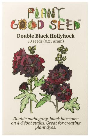 Plant Good Seed Organic Double Black Hollyhock Flower Seeds for Planting: Grow for Plant Dye, Dark Purple Wildflower - 30 Seed Packet