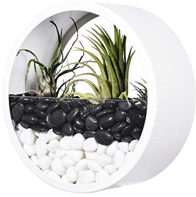 15,2 cm weißer runder Metall-Glas-Wand-Pflanzgefäß für den Innenbereich, kreisförmige Wandvase, Wand-Terrarium, Luftpflanzenhalter, an der Wand befestigter Blumentopf, Sukkulenten-Kaktus-Vertikal-Behä