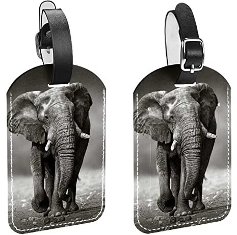 Gepäckanhänger,2er-Pack,Afrikanischer Elefant,Gepäckanhänger Datenschutz Reisetaschenetiketten Kofferanhänger