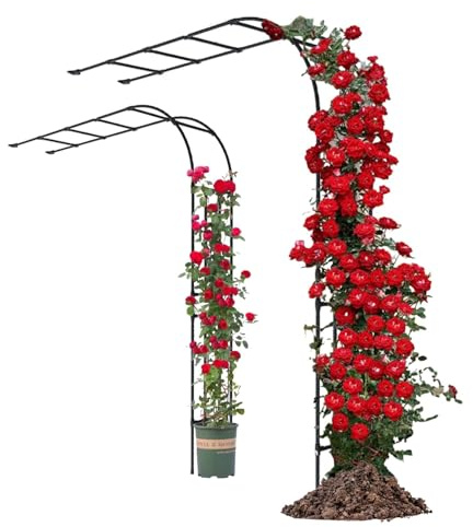 Generisch Rankbogen Metall 240cm Hoch Rosenbogen Aus Metall Stabil Halber Gartenbogen Kletterrosen Rankhilfe Wetterbeständig Rosengestell(W:180cm*H:240cm)
