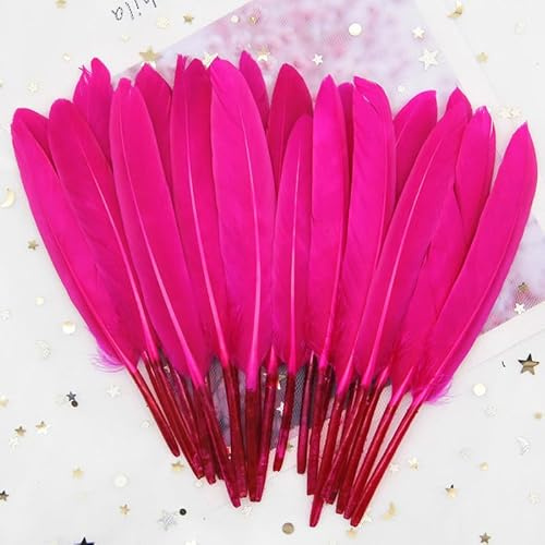 GreatRise 10-15cm Bunte Federn Natürliche Gänsefedern Federn zum Basteln Indianer Federn Dekoration Feder für DIY Handwerk Kostüme Hut Traumfänger Hochzeit Party Dekorationen Rosarot 50 Stück