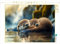 CALVENDO Puzzle Otter | 1000 Teile Lege-Größe 64 x 48 cm Foto-Puzzle für glückliche Stunden