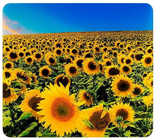 WENKO Multi-Platte Sonnenblumenfeld - für Glaskeramik Kochfelder, Schneidbrett, Gehärtetes Glas, 56 x 0.5 x 50 cm, Mehrfarbig