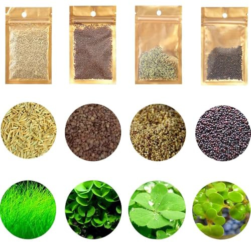 4 Aquarium Plants S.e.e.d Set, not Artifical, Fish Tank Decor Replacement for Resin or Plastic Grass