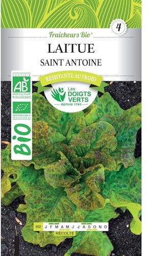 Graines laitue Saint Antoine BIO Les Doigts Verts