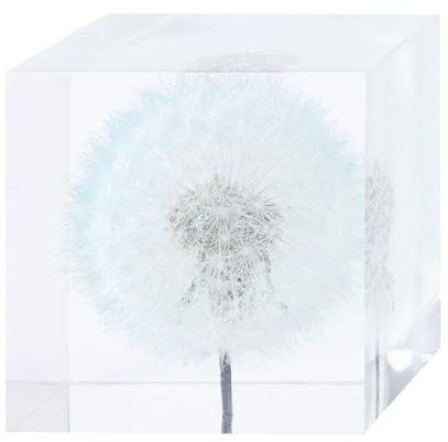 GIBZ 3D Löwenzahn Würfel Transparent Desktop Statue Deko Ornament Handmade Exemplare der ewigen Blumen Briefbeschwerer Geschenk Auto-Dekoration Harz Blau Ohne Ständer