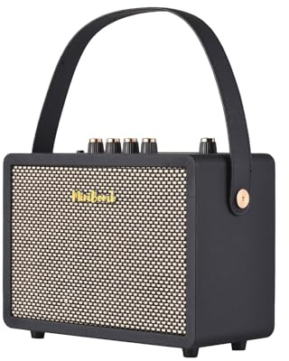 Btuty DK E-Gitarren-Verstärker klar/verzerrt, Dual-Kanal, eingebauter Reverb- und Verzögerungseffekte, tragbarer Gitarren-Übungslautsprecher für tägliches Üben, Straßenauftritte, unterstützt
