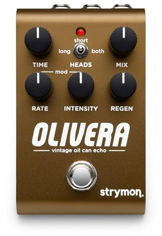 Strymon Olivera Vintage Oil Can Echo
