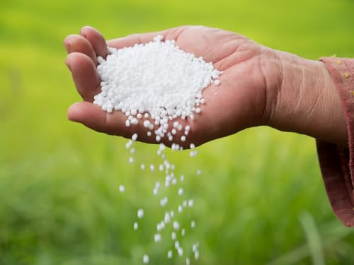 Urea Fertilizer 46-0-0 Made in USA Plant Food for Indoor/Outdoor Flowers & Gardens - Promotes Lush Growth - Lettuce, Green Lawns, Fruit, Vegetables, Citrus Trees (20 Pounds)
