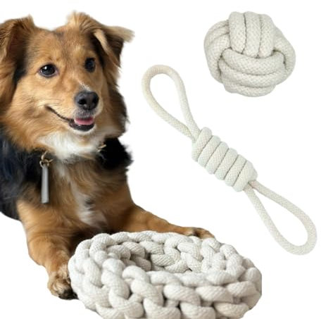 DOYS Premium Hundespielzeug 3er Set Seilspielzeug für kleine mittlere große Hunde Welpenspielzeug aus 100% natürlichen Materialien interaktives Hunde Spielzeug, Dog Toys, hundezubehör (Beige Klein)