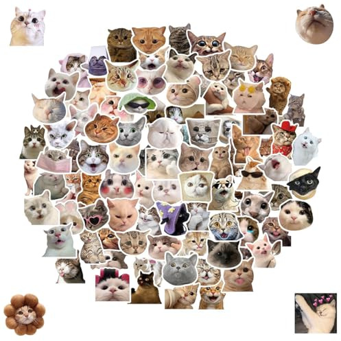100 Stück Katzensticker, Lustige Aufkleber, Sticker Aesthetic, süße Katzen Aufkleber wasserfeste Vinyl Aufkleber ästhetische