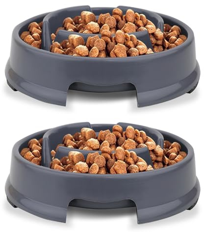 Pack of 2 Slow Feeder Dog Bowl, Anti Slip Dog Bowls to Slow Down Eating, Anti-Gulp Dog Feeding Bowls, Dog Slow Feeder Bowl