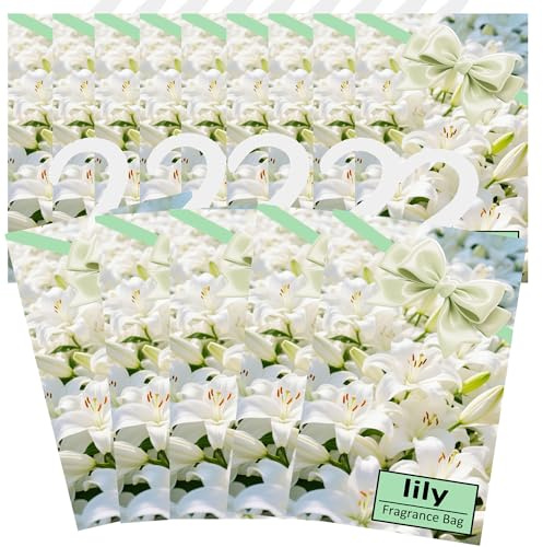14PCS Saquitos Armario Ropa Ambientador Lavanda, Ambientador Armario Ropa Limpia, Hogar Perfumador Ropa, Bolsa Guardarropa, Bolsita Refrescador para Coche, Zapatero, Estanterías (Lirio)