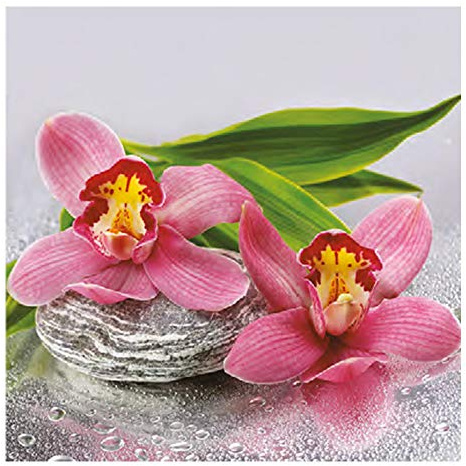 Auswahl Motiv - 20 Servietten/Napkins - ca. 33 x 33 cm 3-lagig - Orchideen auf Stein - Tisch-Deko Basteln Serviettentechnik