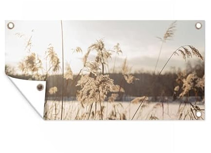 MuchoWow Poster exterieur Eau - Herbe de la pampa - Plantes Decoration murale 160x80 cm Résistant aux intempéries/soleil