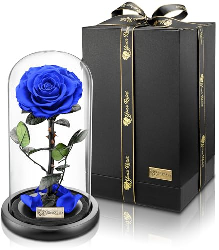 YourRoses® echte Premium Rose im Glas mit Einer wunderschönen Geschenkbox | Lange Haltbarkeit & edles Geschenk als Liebesbeweis | EIN Geschenk vom Herzen