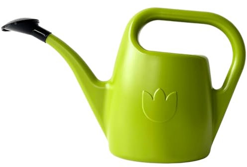 Annaffiatoio Piccolo per Piante 2 L - Innaffiatoio Eva Becco Lungo in Plastica - per Interni, Verde chiaro
