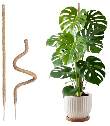 Wigearss 2 Stück Moosstab für Monstera, Kokosfaser Rankhilfe, Pflanzstab Kokos, Pflanzenstütze für Kletterpflanzen, 160cm