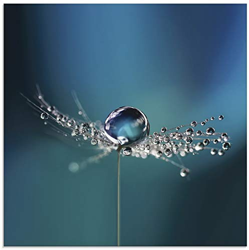 ARTland Wanddeko Glasbilder Wandbild Glas Bild einteilig 40x40 cm Quadratisch Blumen Pusteblume Wassertropfen Natur Modern Blau U1TB