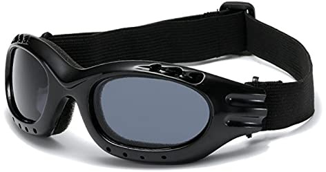 Windproof Skibrillen Motorradbrille Outdoor Sport Gläser Skibrillen Staubdichte Reiten Sonnenbrille Augenwaren (Color : 02)
