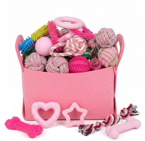 PawsAion Puppy Toys Set - 20 Pack Pink Dog Chew Toys for Teething Small Breeds - Tough Rope Toys for Puppies, Cute Soft Rubber Toys Bundle with Basket for Girl Pets